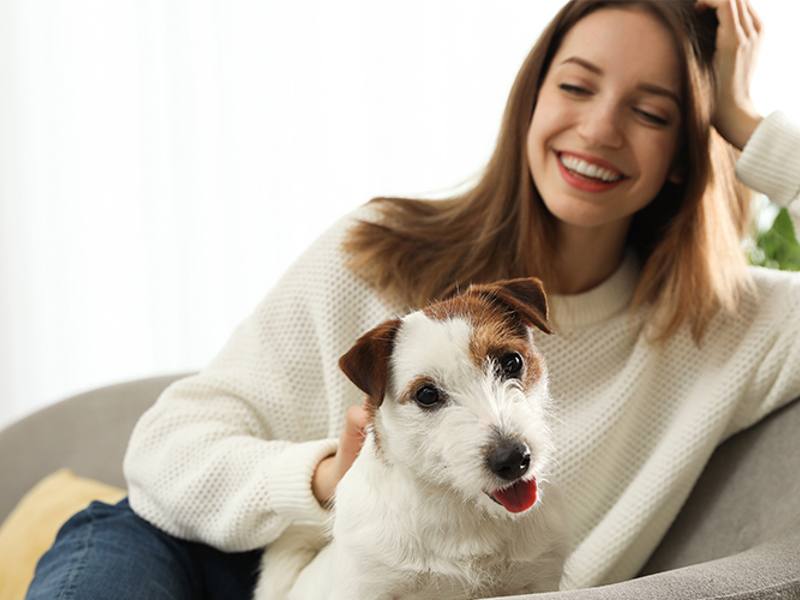 Umbraco.Cms.Infrastructure.PublishedCache.Property