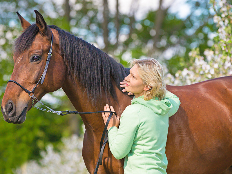 Umbraco.Cms.Infrastructure.PublishedCache.Property