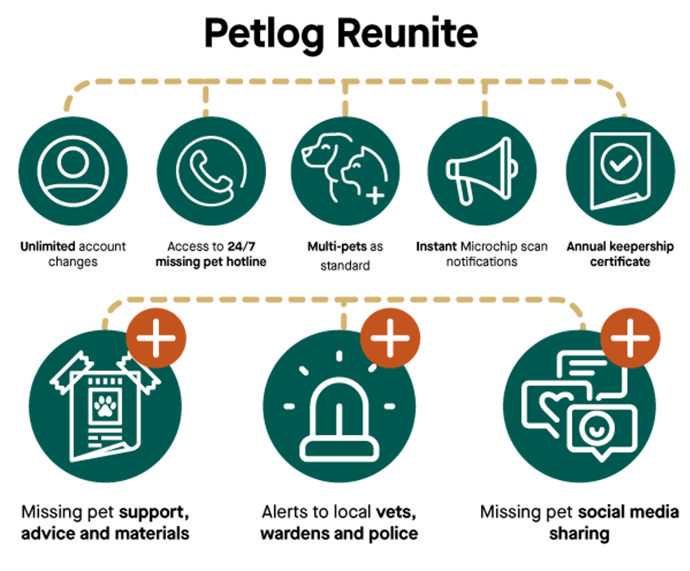 Umbraco.Cms.Infrastructure.PublishedCache.Property