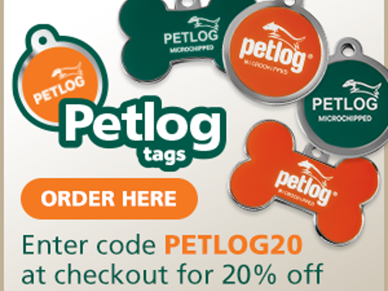 Umbraco.Cms.Infrastructure.PublishedCache.Property